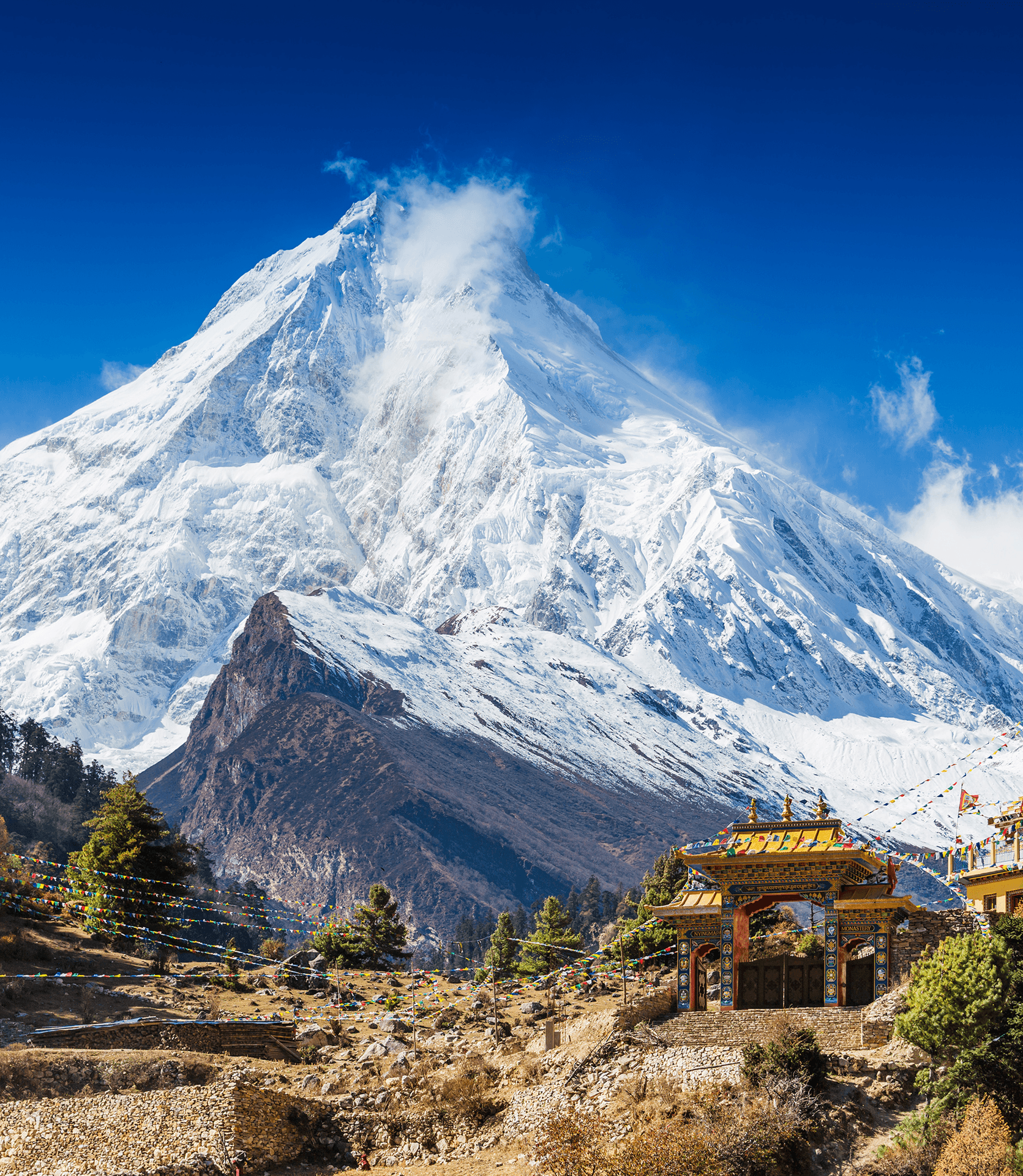 Mountain and Climate